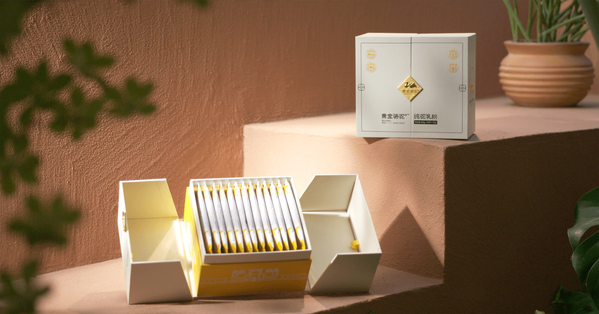 定位小众高端乳粉，太阳成集团tyc151cc推出驼奶品牌“黄金骆驼+”，角逐乳品新市场！